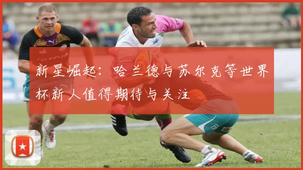 新星崛起：哈兰德与苏尔克等世界杯新人值得期待与关注
